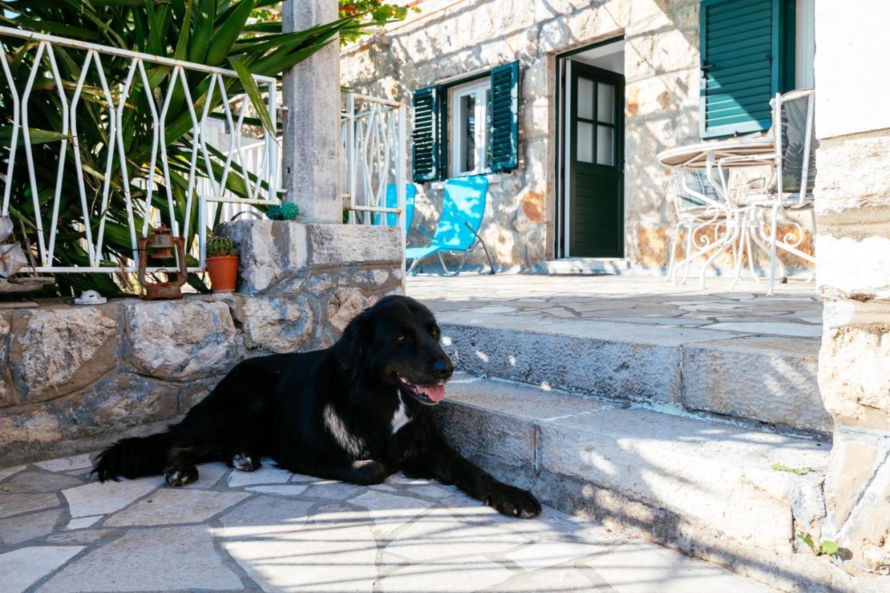 Apartment A Kind Of Magic Dubrovnik Kültér fotó